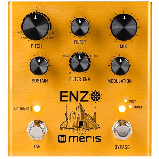 Meris Enzo 2025 Multi-Voice Instrument Synthesizer pedal Brand New (Authorized Dealer)