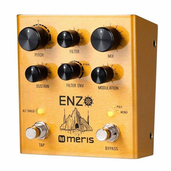 Meris Enzo 2020 Gold, Multi-Voice Instrument Synthesizer (Authorized Dealer)