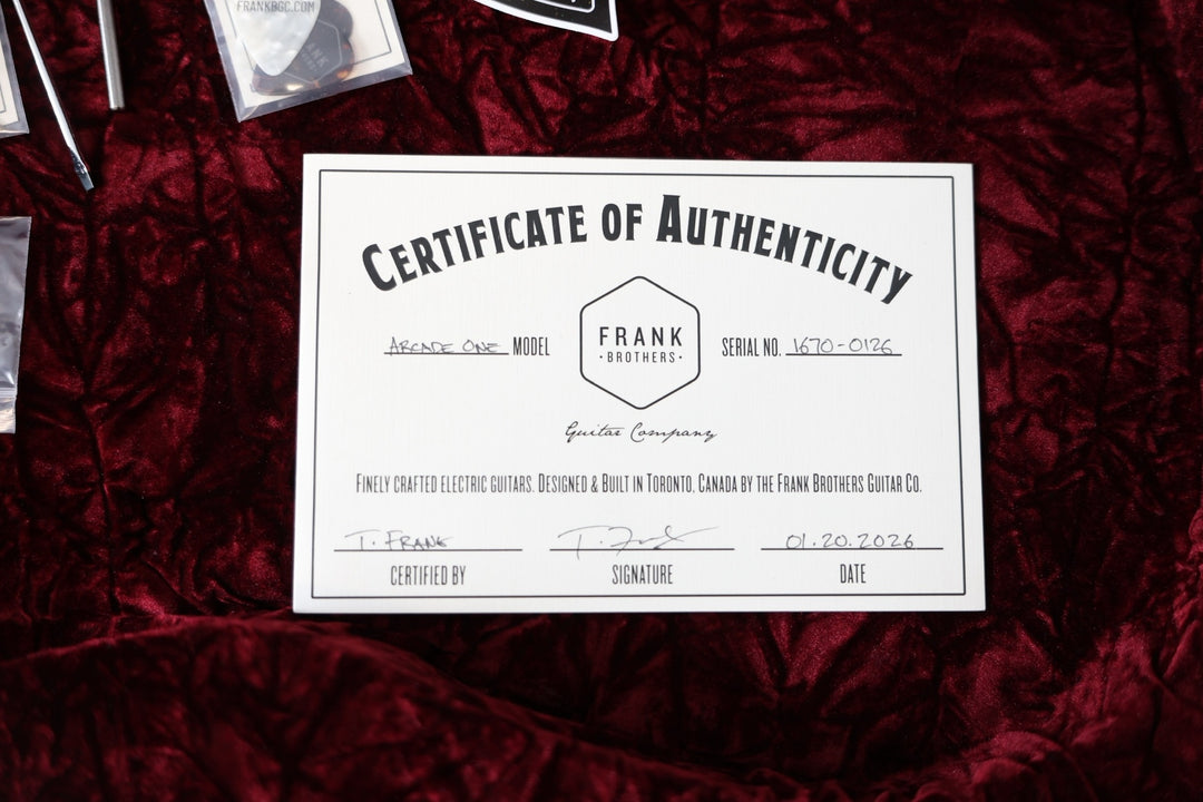 Shabat Lion JD W/ Castedosa TS-Humbuckers. Comes w/ OG Lollar Imperial Pickups