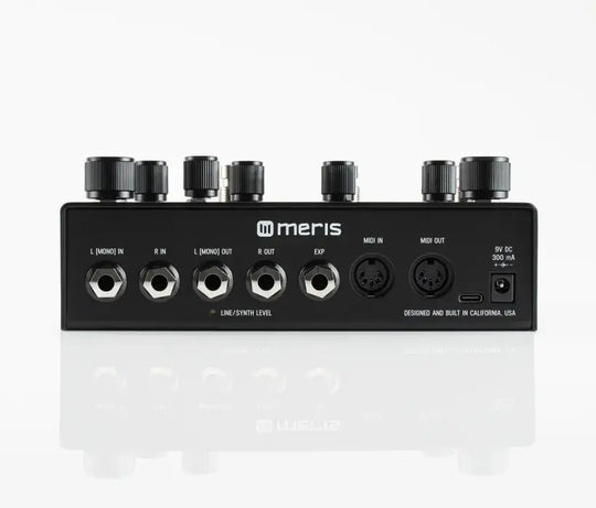 Meris ENZO X - 10th Anniversy - Black - LTD Edition W/ New Firmware v1.2.2. NEW (Authorized Dealer) back panel view.