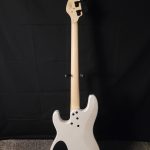 Dingwall SP1 5 Strings Ducati White by Dingwall