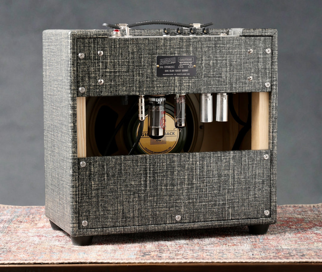 Benson Amps Vinny Reverb Combo - 2025 - Night Moves / Wheat, showcasing the back view of the amplifier.