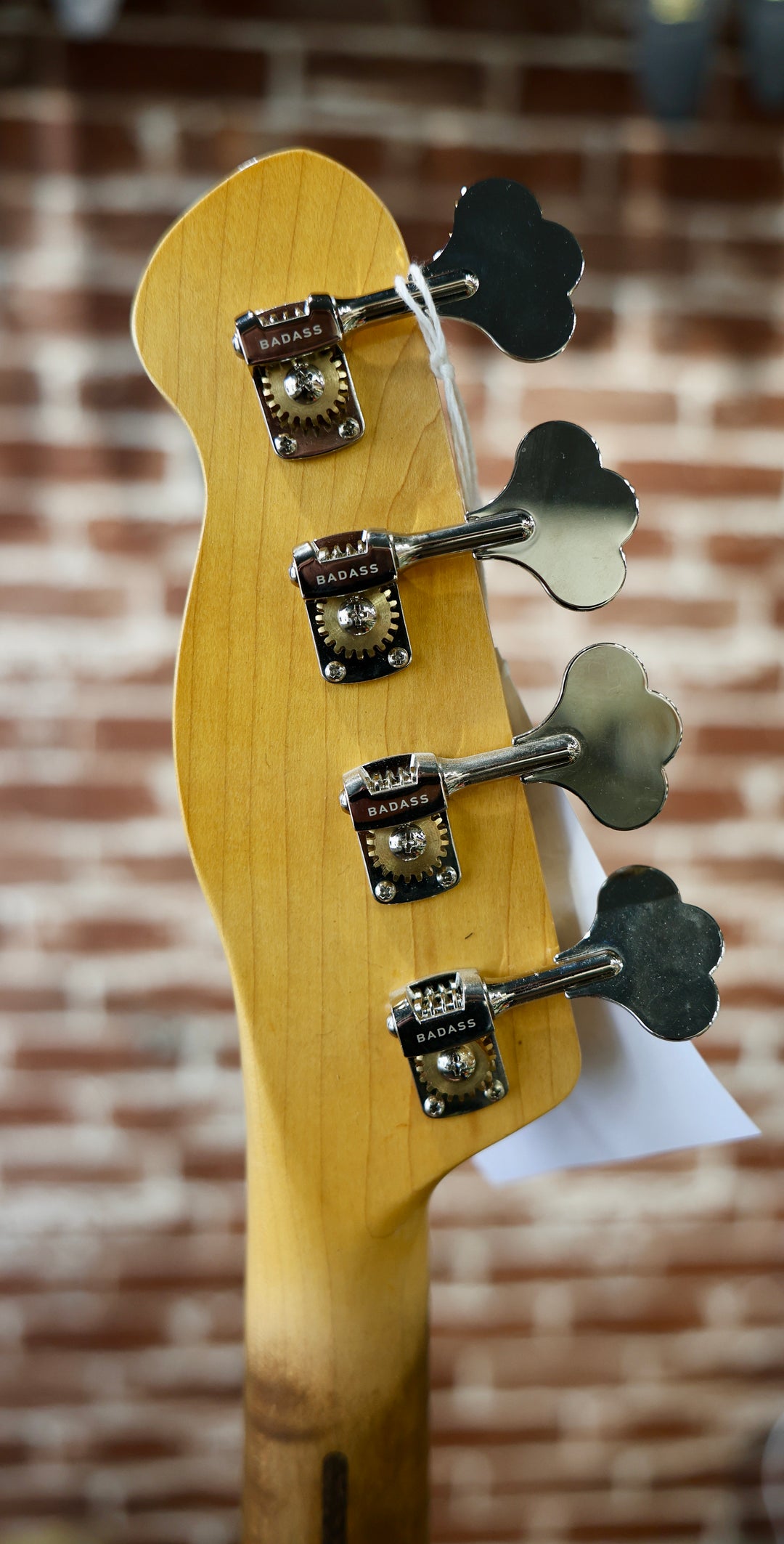 Berly T-Bass - Shell Pink. NEW (Authorized Dealer) by South Shore Guitar Boutique