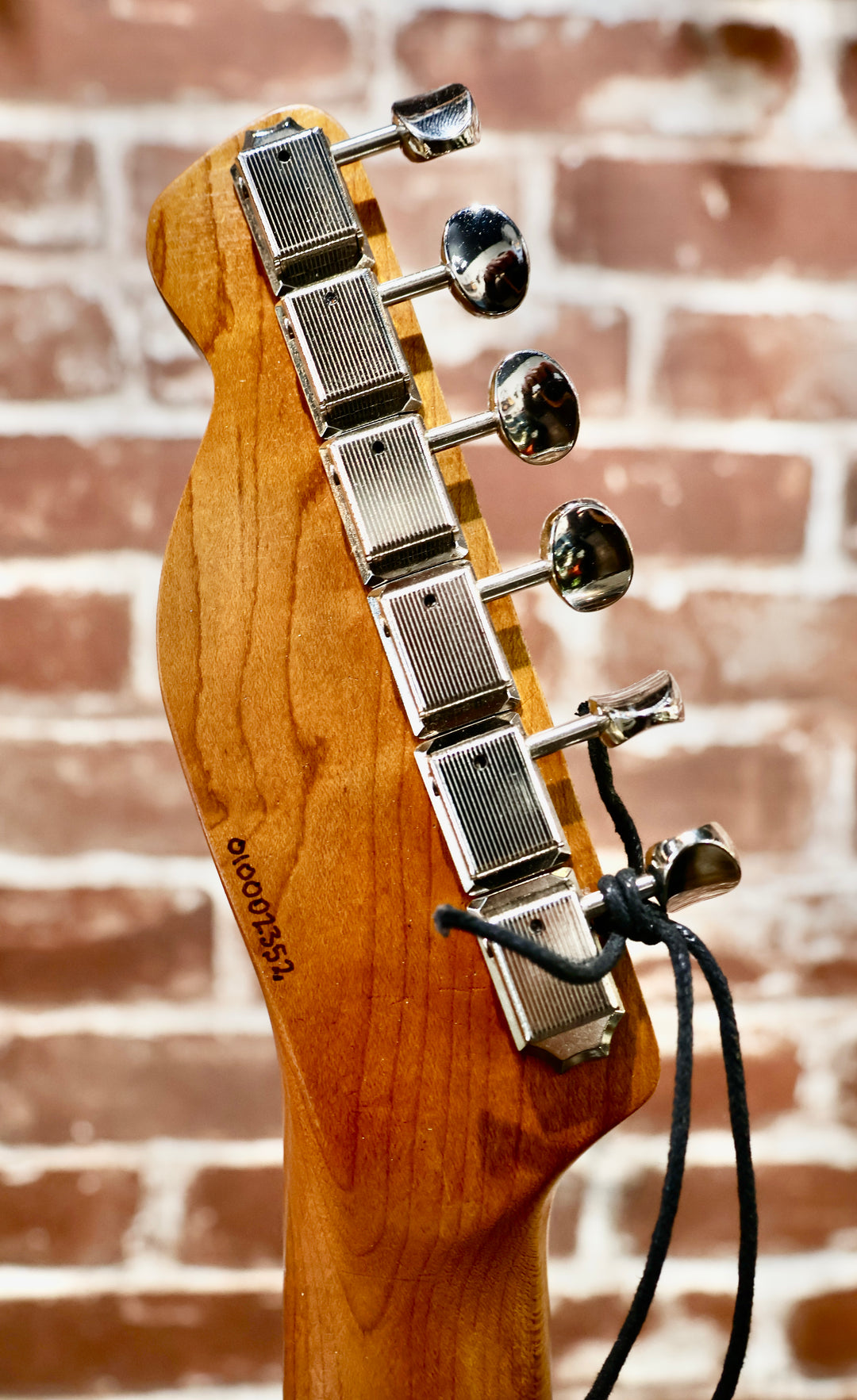 Berly T-HH in 3 Tone Sunburst (Authorized Dealer) by Berly