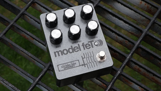 EAE Model feT