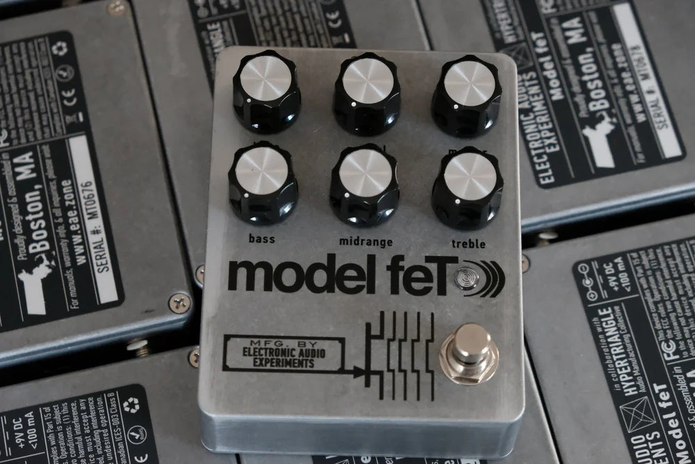 EAE Model feT