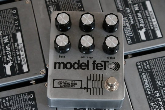 EAE Model feT
