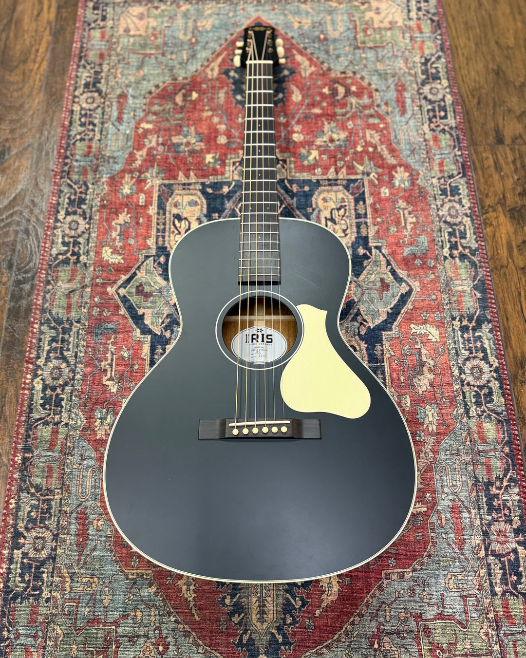 Iris MS-00 12-Fret All Black