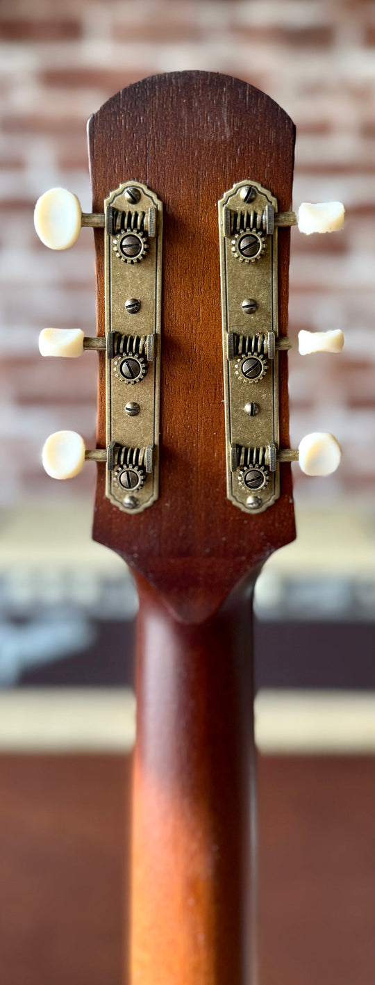 IRIS DF - Honey Burst. NEW (Authorized Dealer) by South Shore Guitar Boutique