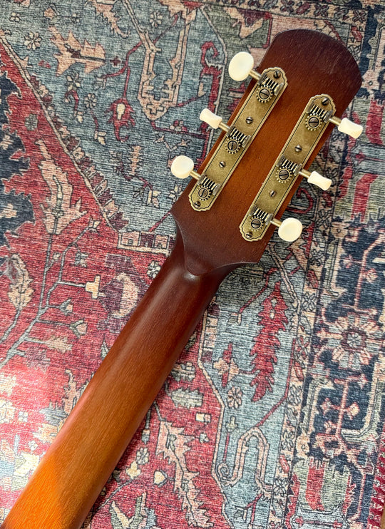 IRIS DF - Honey Burst. NEW (Authorized Dealer) by South Shore Guitar Boutique
