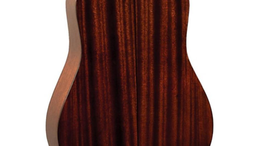 Recording King RD-T16 Adirondack Spruce Solid Top Dreadnought 2020.  "Authorized Dealer"