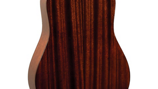 Recording King RD-T16 Adirondack Spruce Solid Top Dreadnought 2020.  "Authorized Dealer"