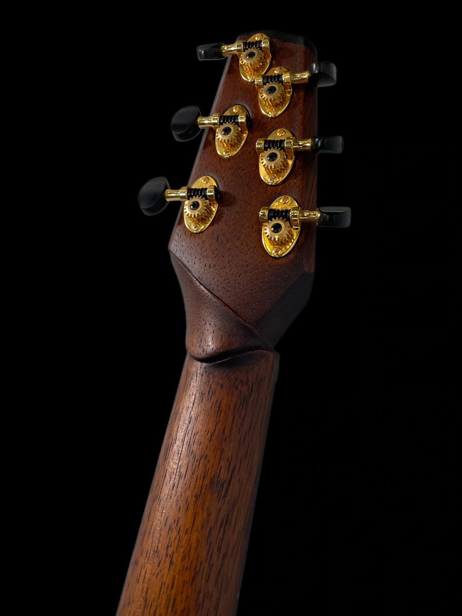 Ergon Guitars Acores-MJ, Natural, Fully Hollow & Carved w/ Neck HB, NEW 4lbs 9oz (Authorized Dealer)