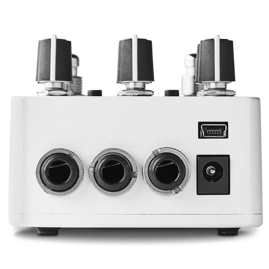 Red Panda Raster Rear Down Red Panda Raster 2 White Granular Delay & Pitch Shifter NEW (Authorize ...