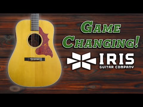 Iris Guitar Company DWH SB