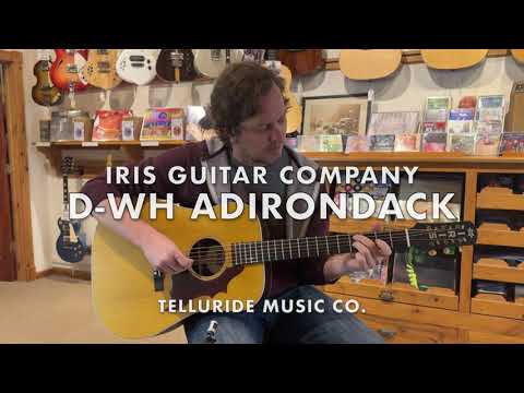 Iris Guitars D-WH  Natural
