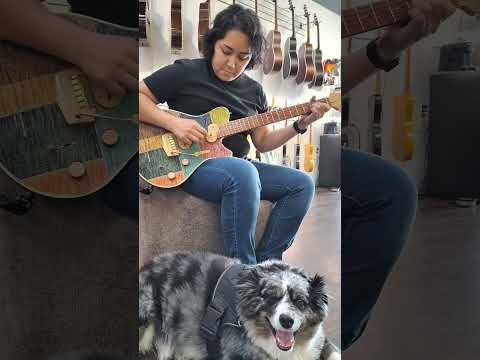 Jersey Girl Homemade Guitars - Tapa Festeeva.