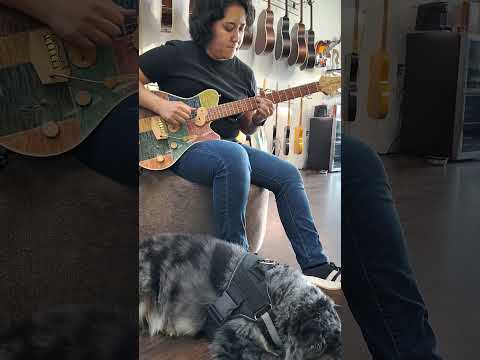 Jersey Girl Homemade Guitars - Tapa Festeeva.