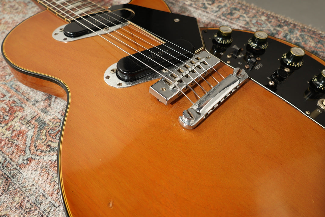 Gibson Les Paul Recording - 1973 - Natural