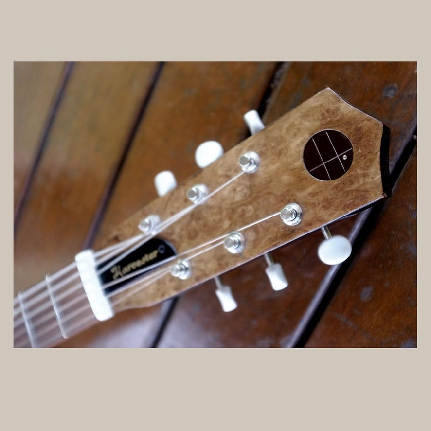 Harvester Guitars Lupine Short Scale - 2020 - Aged Pelham Blue W/ HSC by Harvester