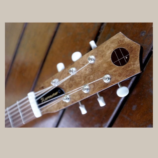 Harvester Guitars Lupine Short Scale - 2020 - Aged Pelham Blue W/ HSC by Harvester