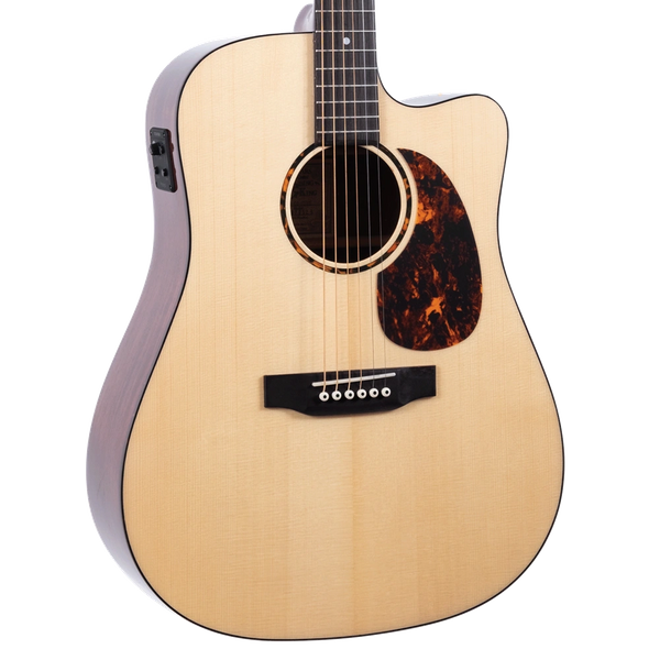 Recording King RD-G6-CFE5 2019  "Authorized Dealer"