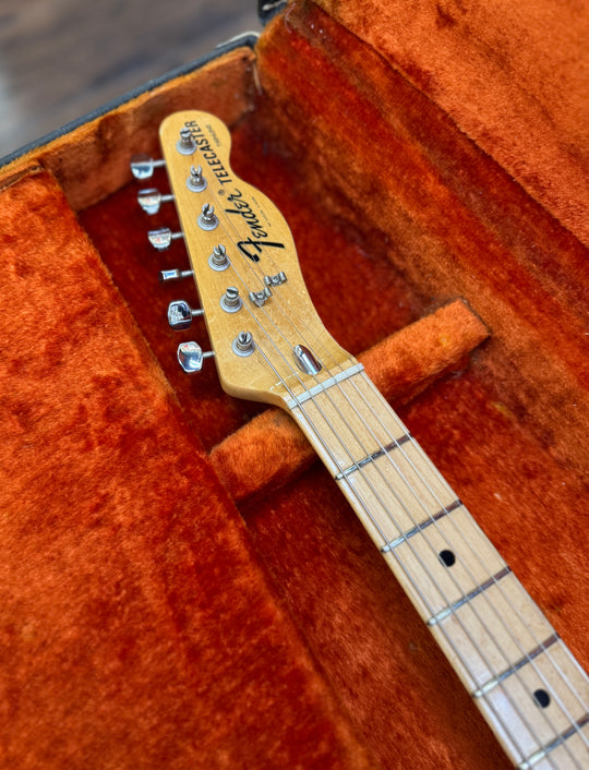 Fender Telecaster Thinline 1973 - Natural - Wide Range Humbuckers - OHSC included
