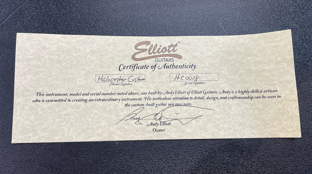 Elliott Guitars Halocaster Custom w/ E-Tron Pickups NEW *Tiny Blemish by strap button*