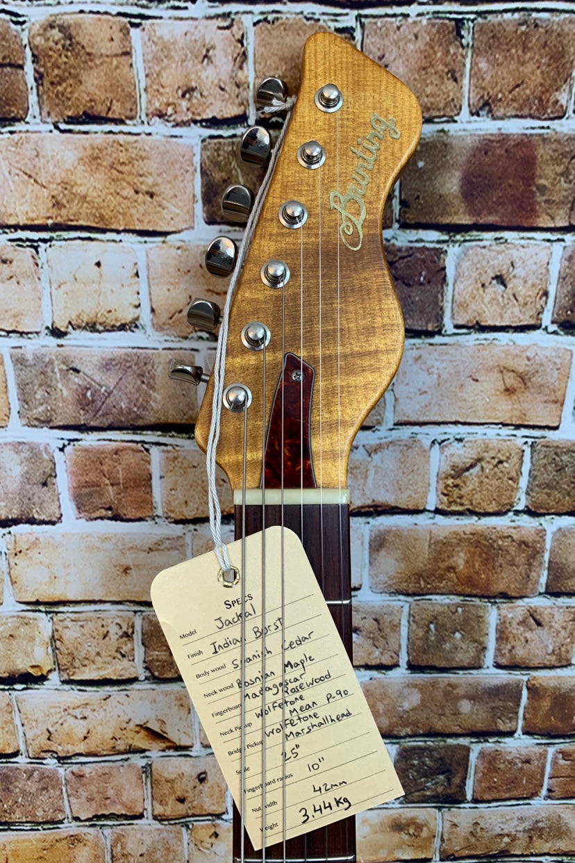 Bunting Jackal  2019 Indian Burst